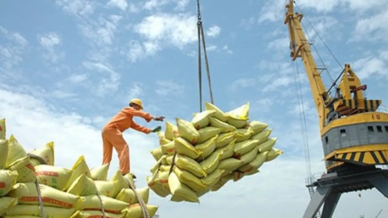 استقرت أسعار تصدير الأرز الفيتنامي عند 360-365 دولارًا أمريكيًا للطن في الربع الأول من عام 2026.